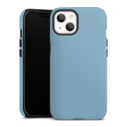 Colour Case Blueberry