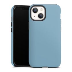 Colour Case Blueberry